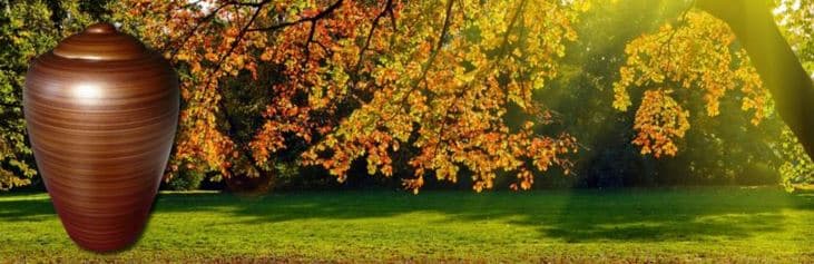 urnes ecologique biodégradable